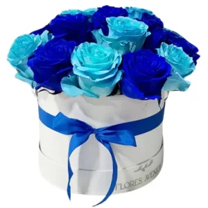 Caja pote con 15 rosas azules importadas